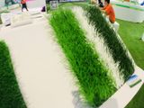 Thảm Cỏ