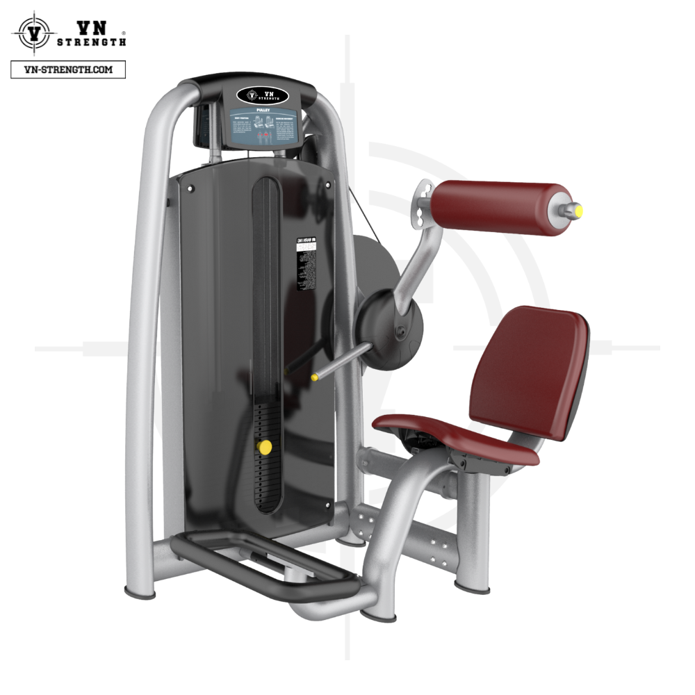 MÁY TẬP LƯNG︱BACK EXTENSION︱TEC 026