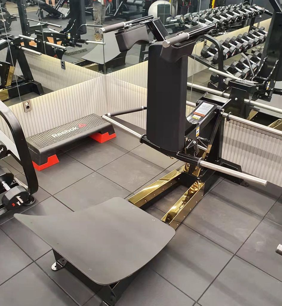 MÁY ĐẠP CHÂN ∣ PLATE LOADED SQUAT ∣ VNS001