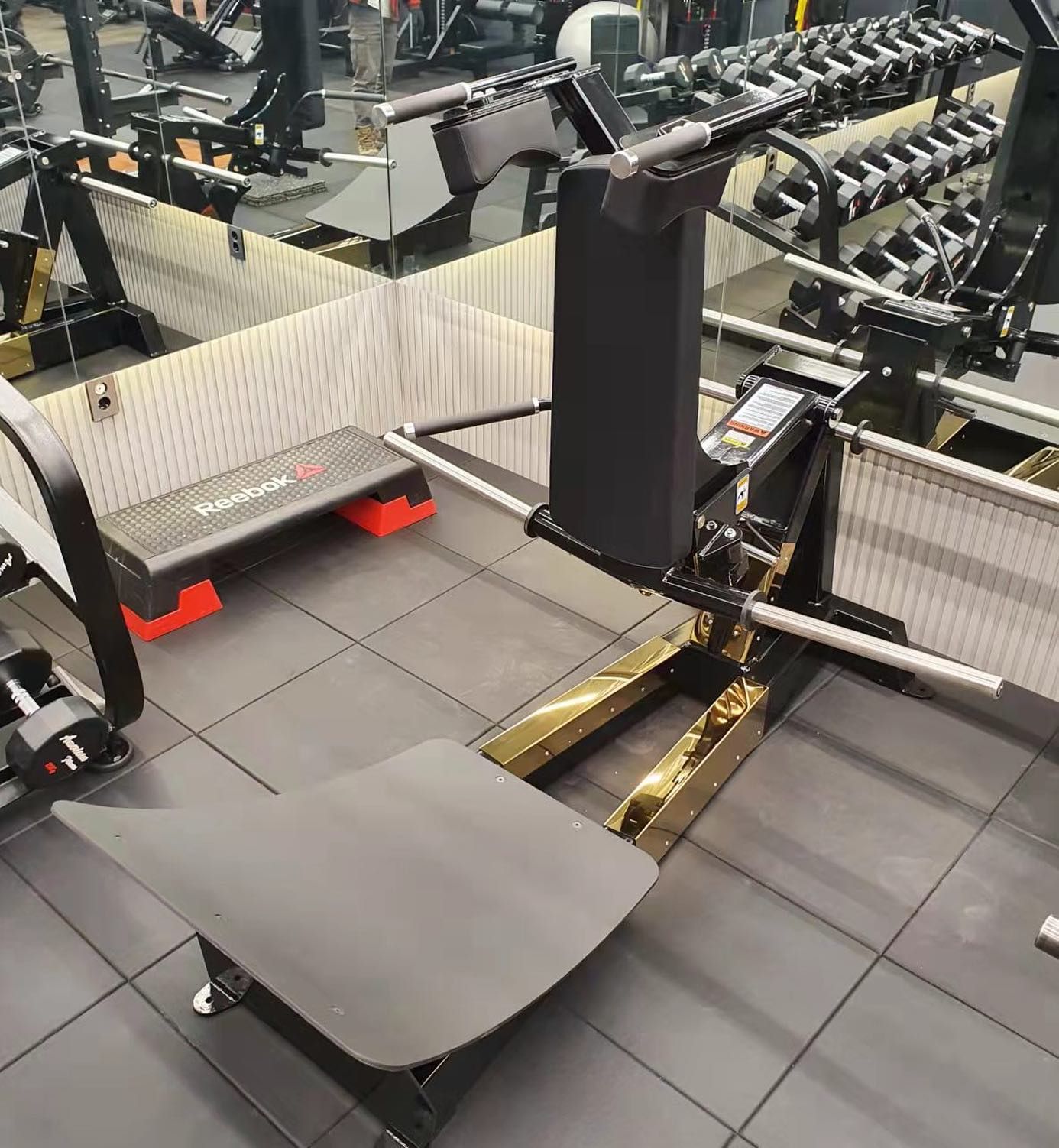 MÁY ĐẠP CHÂN︱PLATE LOADED SQUAT︱VNS001
