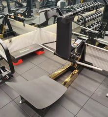 MÁY ĐẠP CHÂN ∣ PLATE LOADED SQUAT ∣ VNS001