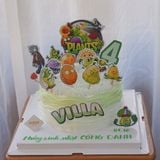  Bánh kem trang trí chủ đề Plants and Zombie 