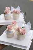  cupcake 