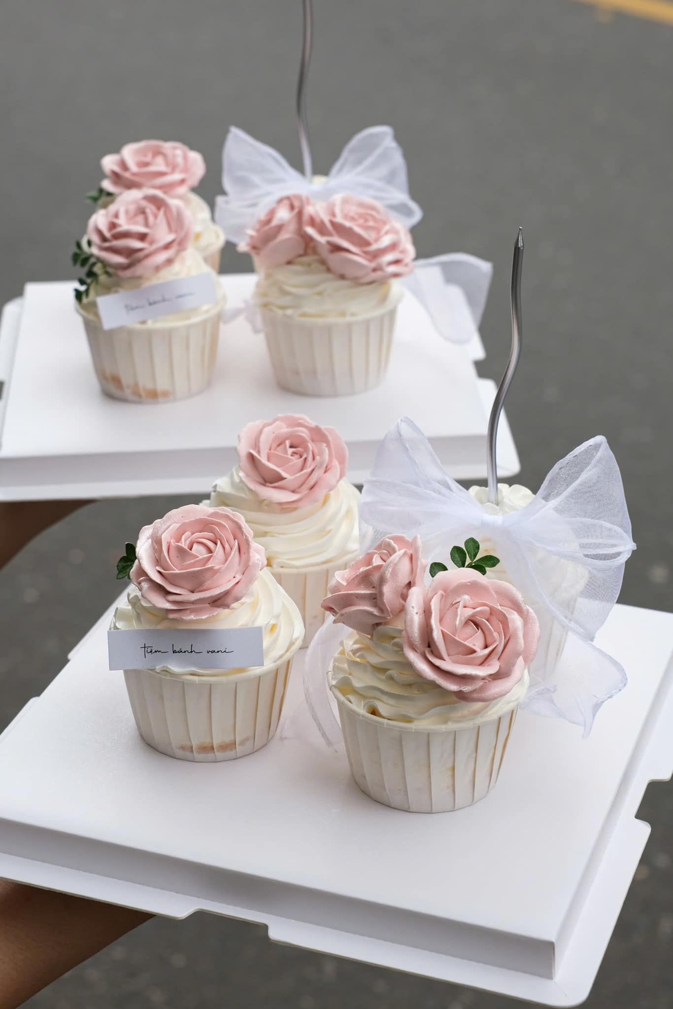  cupcake 