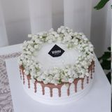 Bánh kem size 16 