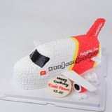  Bánh máy bay - Bánh kem sinh nhật Đà Nẵng 