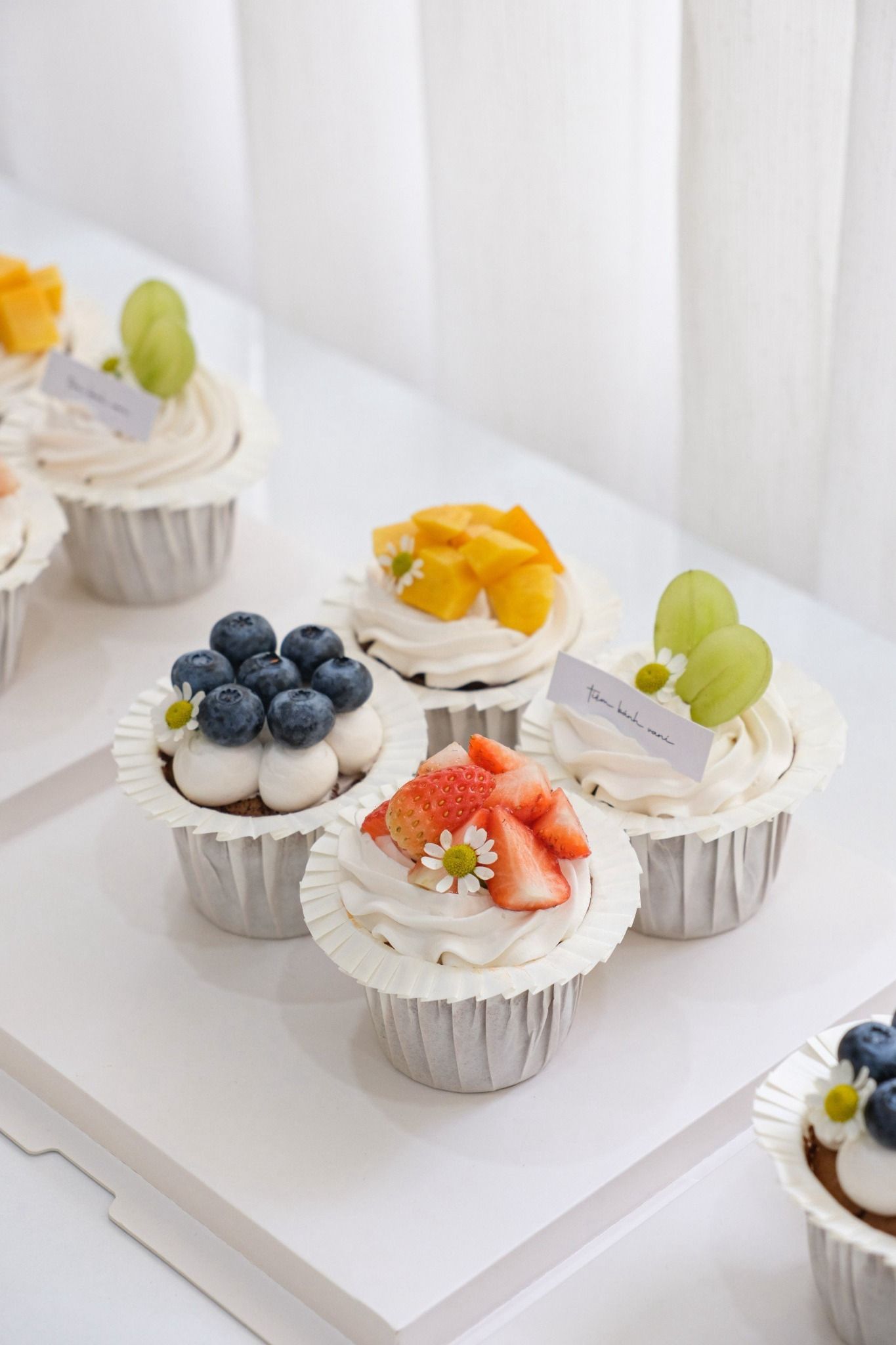  cupcake 