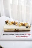  mousse dừa size 18x36 
