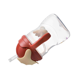  B.BOX DISNEY BÌNH NƯỚC 360 ĐỘ CHO BÉ TẬP UỐNG NƯỚC - LION KING 