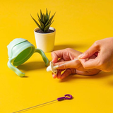  B.BOX DISNEY ỐNG HÚT THAY THẾ BÌNH NƯỚC 360 ĐỘ - WINNIE THE POOH 