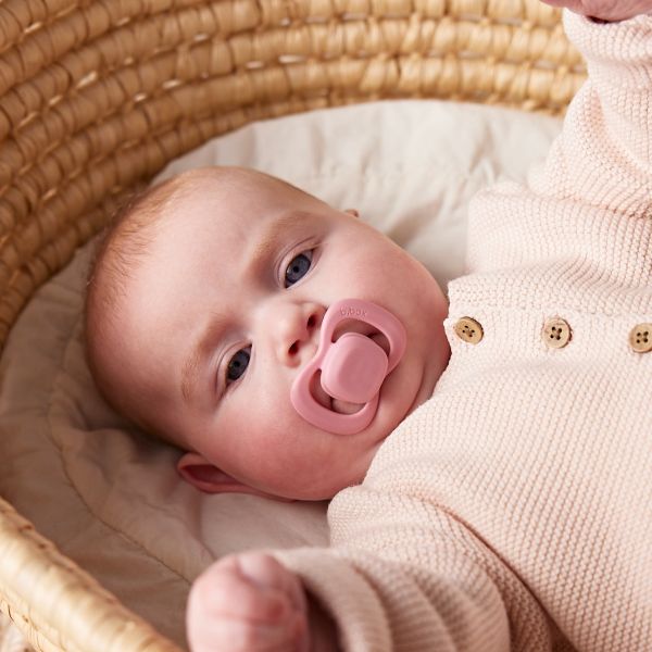  B.BOX NÚM TI CAO SU (SET 2 CÁI) 