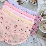  Quần Lót Cotton Baby LS231105 