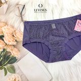  Quần Lót Thun Lạnh Ren LS305 
