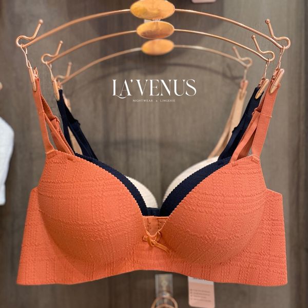 Áo ngực đúc không gọng đệm vừa cao cấp Tân An Long An 6460