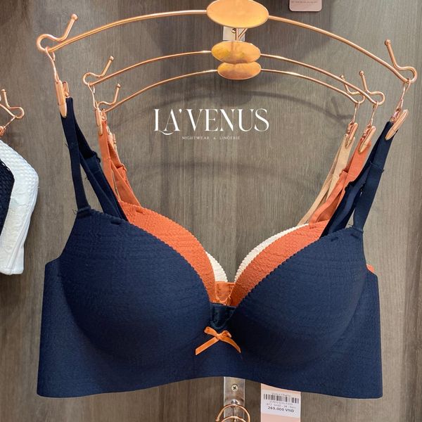 Áo ngực đúc không gọng đệm vừa cao cấp Tân An Long An 6460