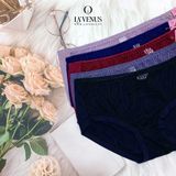  Quần Lót Thun Lạnh Ren LS305 