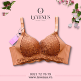  Áo Lót Ren Mềm Êm Ái Đệm Dày Không Gọng 6018 