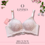  Áo Lót Ren Mềm Êm Ái Đệm Dày Không Gọng 6018 