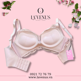  Áo Lót Ren Mềm Êm Ái Đệm Dày Không Gọng 6018 