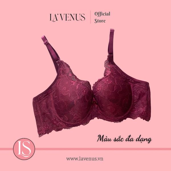 Áo Ngực Bigsize Ren Đệm Mỏng Có Gọng B619