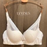  Áo Lót Không Gọng Đệm Mỏng 6913 