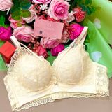  Áo ren nâng ngực cao cấp 