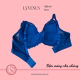  Áo ngực Big Size đệm mỏng có gọng B02 