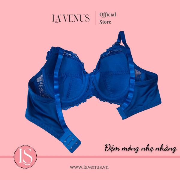 Áo ngực big size đệm mỏng có gọng B02