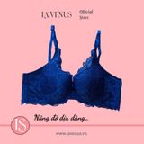  Áo ngực Big Size đệm mỏng có gọng B02 