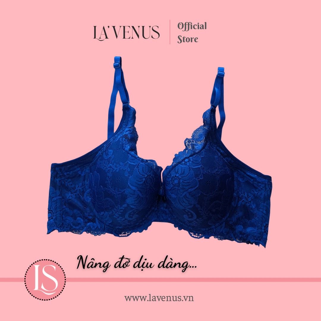  Áo ngực Big Size đệm mỏng có gọng B02 