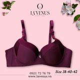  Áo ngực Big Size đệm mỏng có gọng B991 