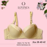  Áo ngực Big Size đệm mỏng có gọng B991 