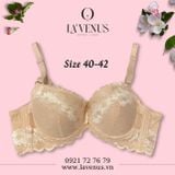  Áo ngực Big Size nâng nhẹ có gọng B01 