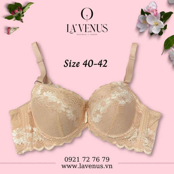 Áo ngực big size nâng nhẹ có gọng B01