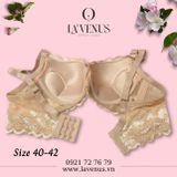  Áo ngực Big Size nâng nhẹ có gọng B01 