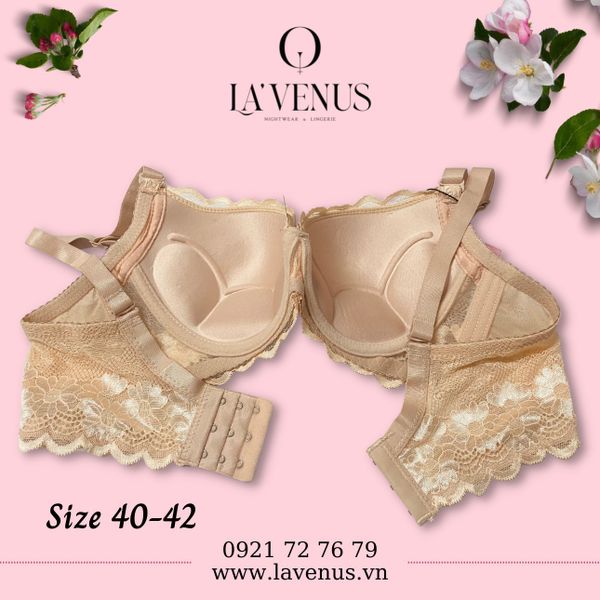 Áo ngực big size nâng nhẹ có gọng B01