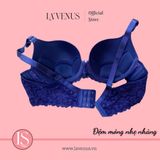  Áo ngực Big Size nâng nhẹ có gọng B1210 