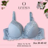  Áo ngực Big Size nâng nhẹ có gọng B2229 