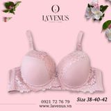  Áo ngực Big Size nâng nhẹ có gọng B2229 