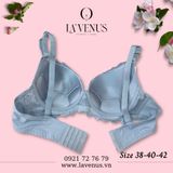  Áo ngực Big Size nâng nhẹ có gọng B2229 