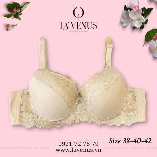 Áo ngực big size nâng nhẹ có gọng B2229