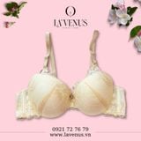  Áo Ngực Ren Nâng Có Gọng LS470 