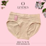  Quần lót bigsize cotton siêu co giãn 