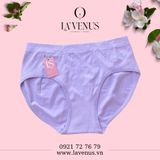  Quần lót bigsize cotton siêu co giãn 