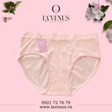  Quần lót bigsize cotton siêu co giãn 