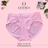  Quần lót bigsize cotton siêu co giãn 