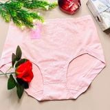  Quần lót cạp cao thun 