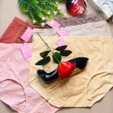  Quần lót cạp cao thun 