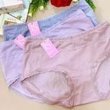  Quần lót cotton mềm mại 