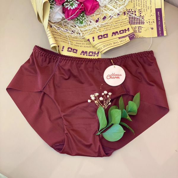 Quần Lót Không Viền Ren Mịn 1600